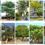 Mua Bất Động Sản Và Nguyên Tắc “Quyết Nhanh, Lợi Lớn”: Bài Học Xương Máu Cho Nhà Đầu Tư 2026